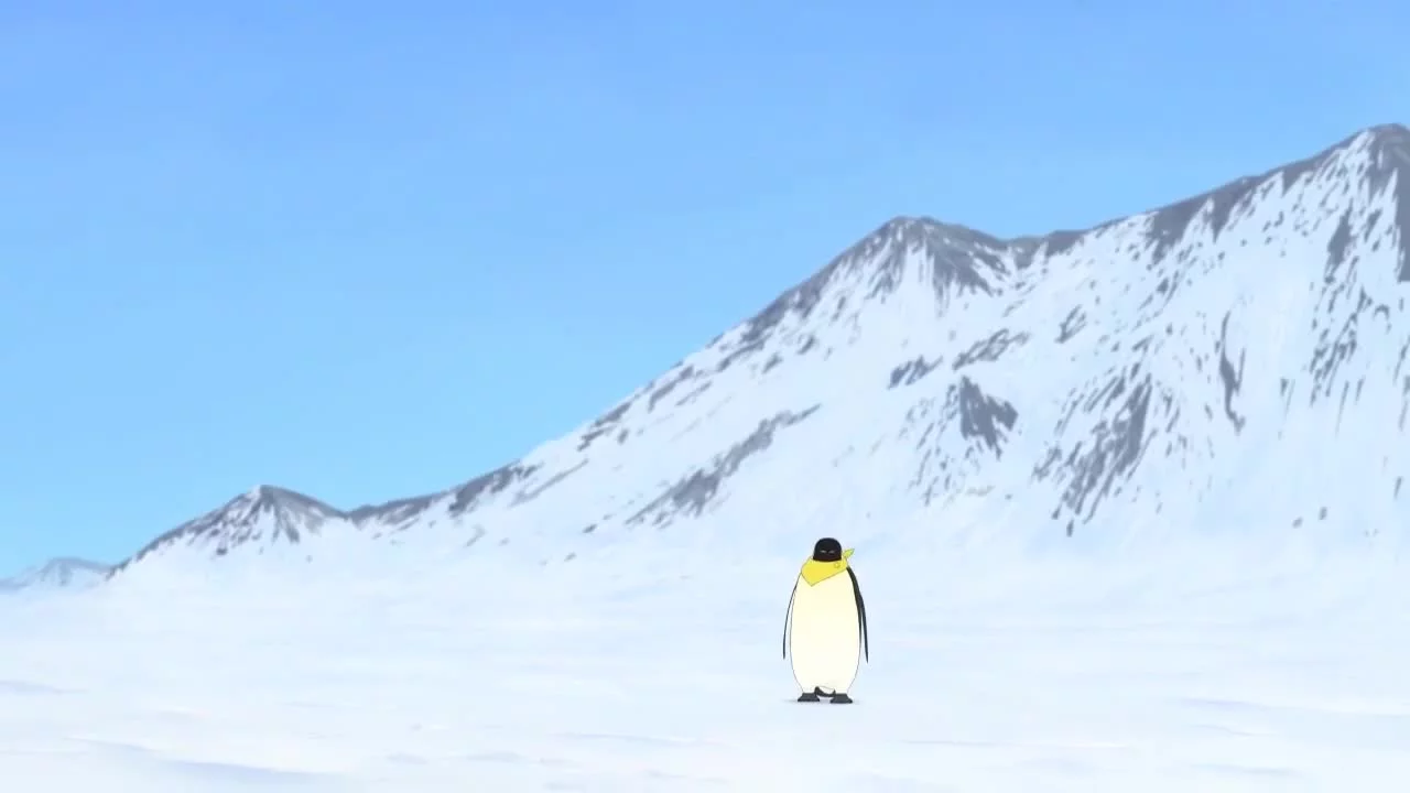 Цвета антарктических пингвинов